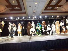 Winning furries