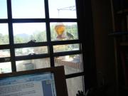Sony, sans zoom, catches oriole